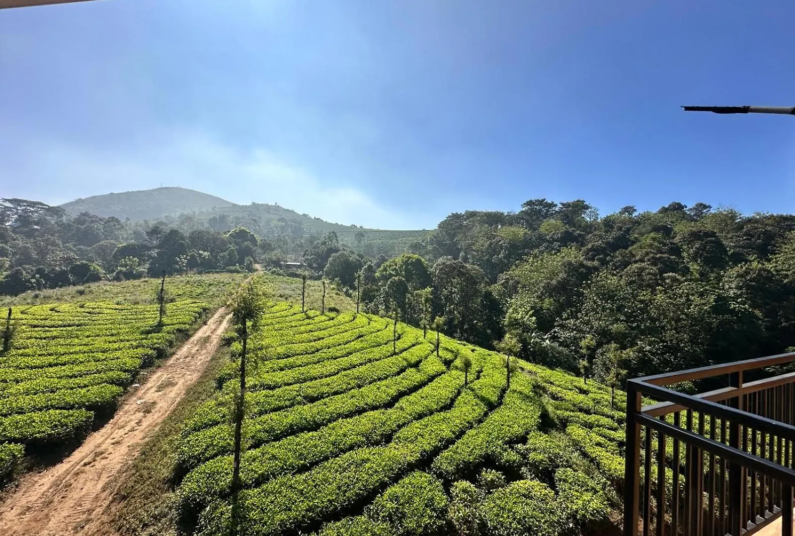Woodgreens Ecopath Resort Calvary Mount Idukki Hindistan