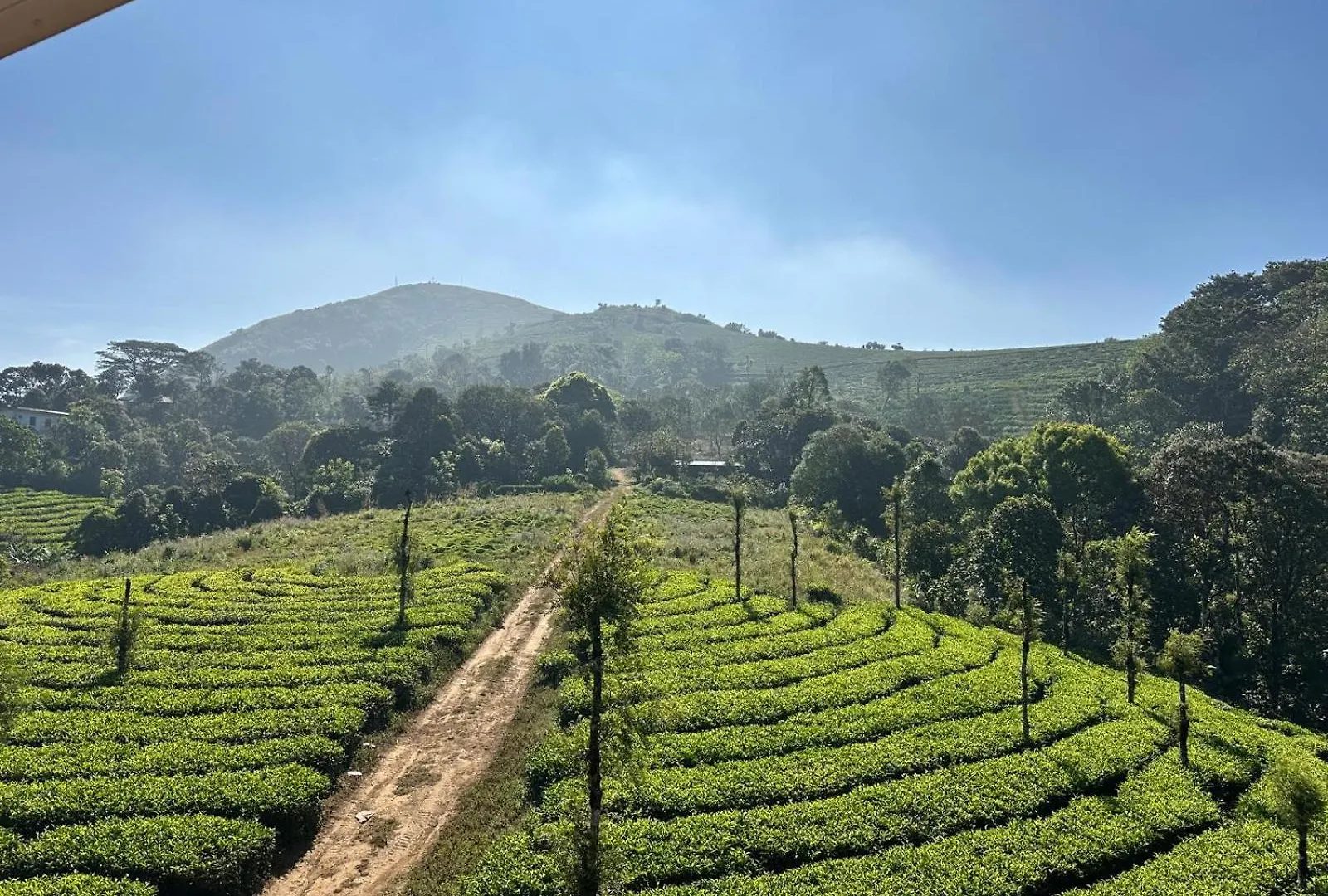 Woodgreens Ecopath Resort Calvary Mount Idukki